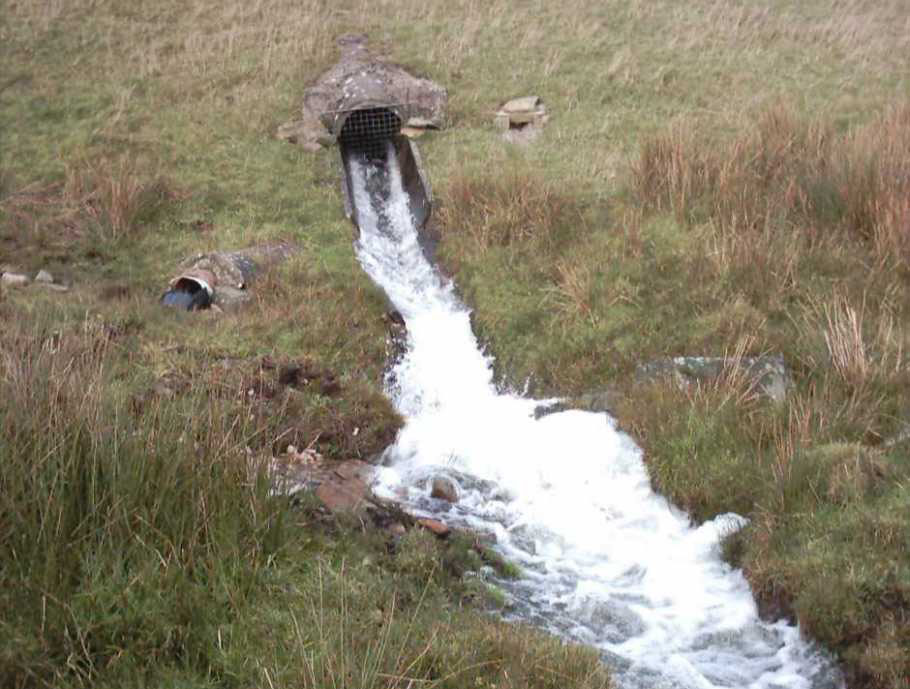 Ulverston Angling Photo